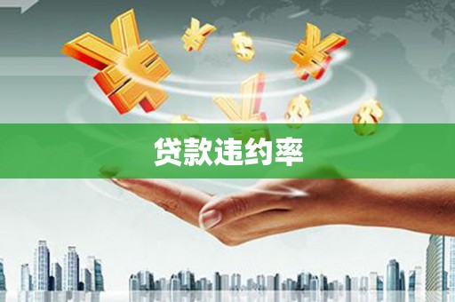 那玛夏贷款违约率