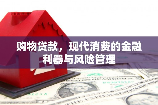 那玛夏购物贷款，现代消费的金融利器与风险管理