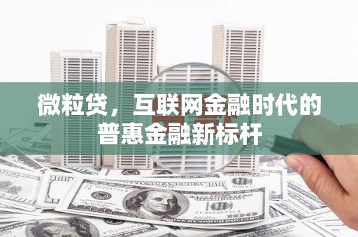那玛夏微粒贷，互联网金融时代的普惠金融新标杆