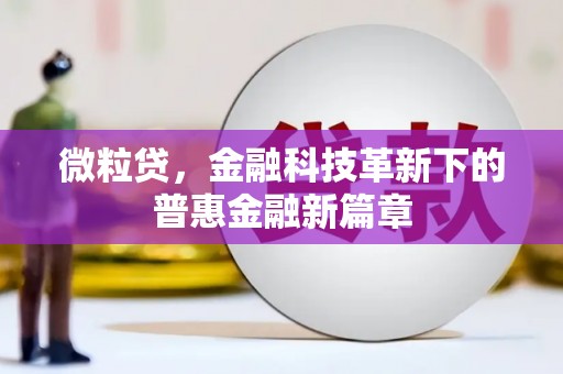 那玛夏微粒贷，金融科技革新下的普惠金融新篇章
