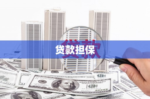 那玛夏贷款担保