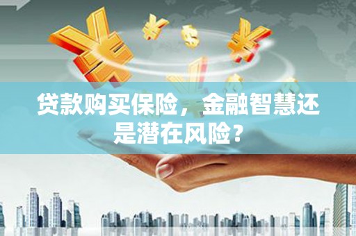 那玛夏贷款购买保险，金融智慧还是潜在风险？