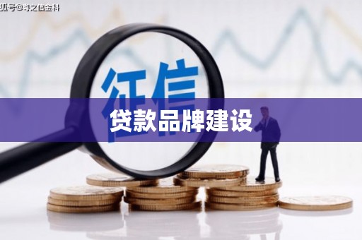 那玛夏贷款品牌建设