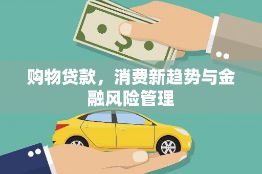 那玛夏购物贷款，消费新趋势与金融风险管理