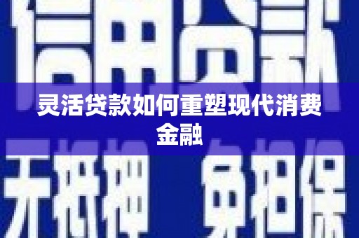 那玛夏灵活贷款如何重塑现代消费金融