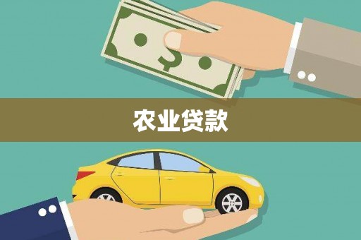 那玛夏农业贷款
