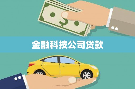 那玛夏金融科技公司贷款