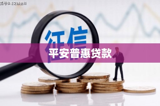 那玛夏平安普惠贷款