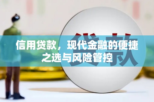 那玛夏信用贷款，现代金融的便捷之选与风险管控