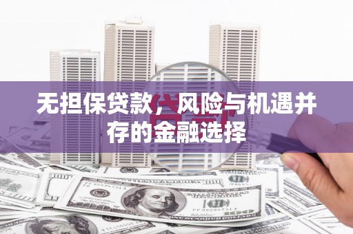 那玛夏无担保贷款，风险与机遇并存的金融选择