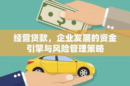那玛夏经营贷款，企业发展的资金引擎与风险管理策略