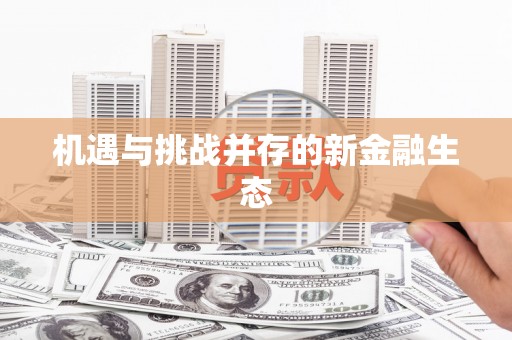 那玛夏机遇与挑战并存的新金融生态