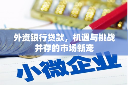 那玛夏外资银行贷款，机遇与挑战并存的市场新宠
