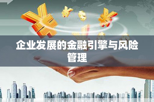 那玛夏企业发展的金融引擎与风险管理