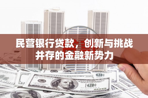 那玛夏民营银行贷款，创新与挑战并存的金融新势力