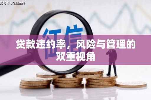 那玛夏贷款违约率，风险与管理的双重视角