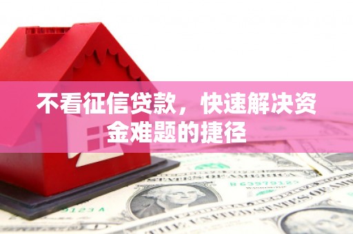 那玛夏不看征信贷款，快速解决资金难题的捷径