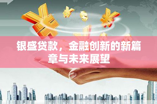那玛夏银盛贷款，金融创新的新篇章与未来展望
