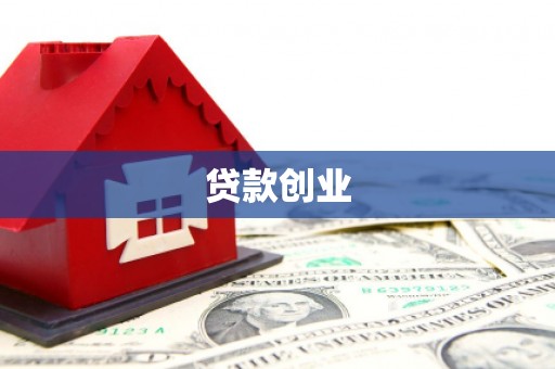 那玛夏贷款创业