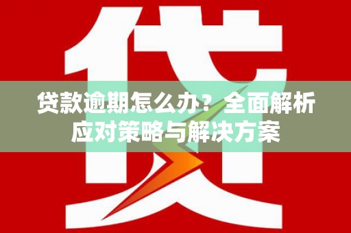 那玛夏贷款逾期怎么办？全面解析应对策略与解决方案