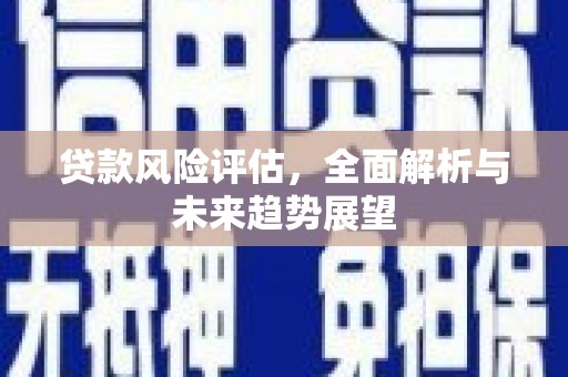 那玛夏贷款风险评估，全面解析与未来趋势展望