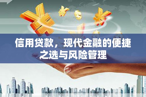 那玛夏信用贷款，现代金融的便捷之选与风险管理