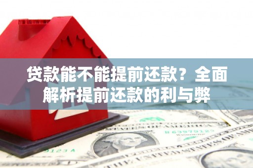 那玛夏贷款能不能提前还款？全面解析提前还款的利与弊