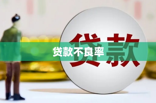 那玛夏贷款不良率