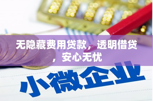 那玛夏无隐藏费用贷款，透明借贷，安心无忧