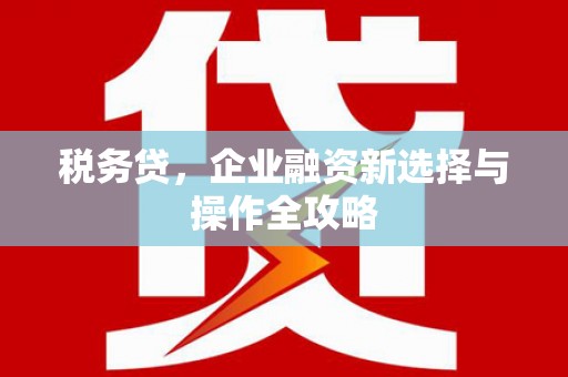 那玛夏税务贷，企业融资新选择与操作全攻略