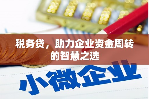 那玛夏税务贷，助力企业资金周转的智慧之选