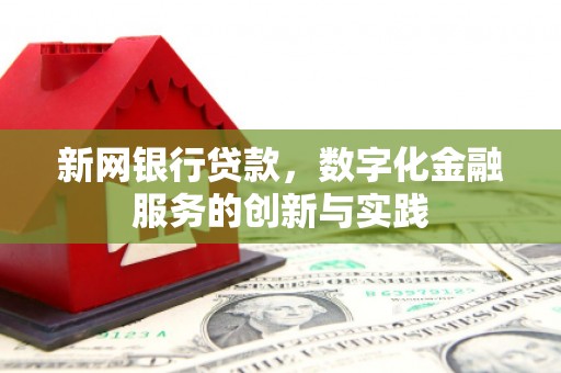那玛夏新网银行贷款，数字化金融服务的创新与实践