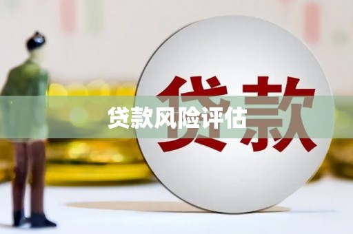那玛夏贷款风险评估