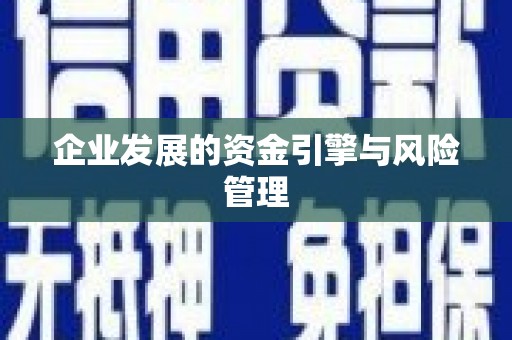 那玛夏企业发展的资金引擎与风险管理