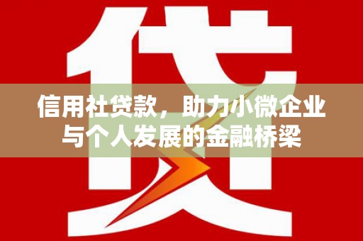 那玛夏信用社贷款，助力小微企业与个人发展的金融桥梁