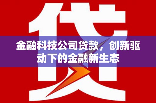 那玛夏金融科技公司贷款，创新驱动下的金融新生态
