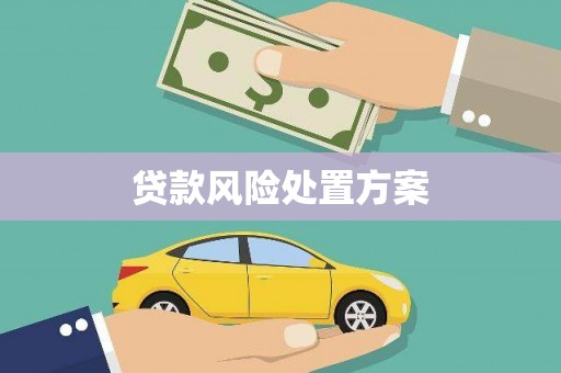 那玛夏贷款风险处置方案