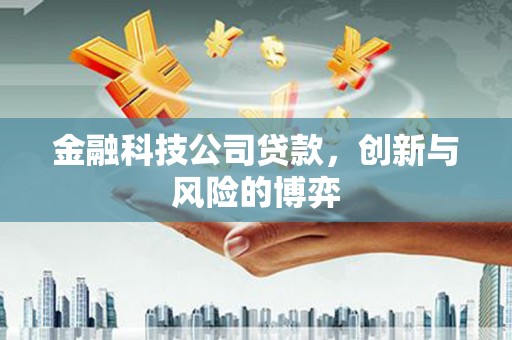 那玛夏金融科技公司贷款，创新与风险的博弈