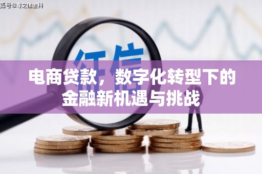 那玛夏电商贷款，数字化转型下的金融新机遇与挑战
