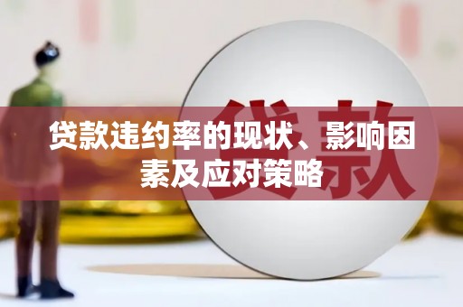 那玛夏贷款违约率的现状、影响因素及应对策略