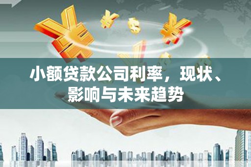 那玛夏小额贷款公司利率，现状、影响与未来趋势