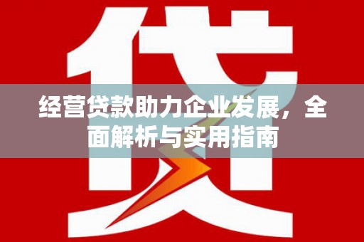 那玛夏经营贷款助力企业发展，全面解析与实用指南