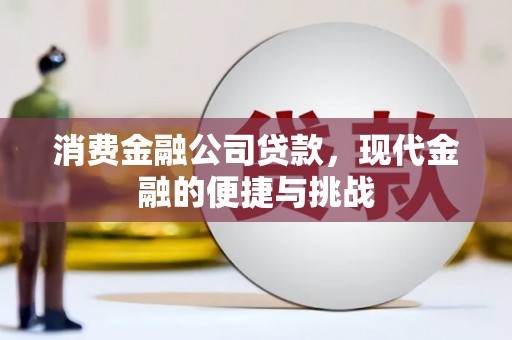 那玛夏消费金融公司贷款，现代金融的便捷与挑战
