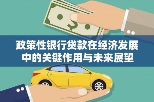 那玛夏政策性银行贷款在经济发展中的关键作用与未来展望