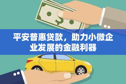 那玛夏平安普惠贷款，助力小微企业发展的金融利器