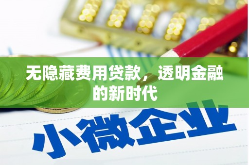 那玛夏无隐藏费用贷款，透明金融的新时代