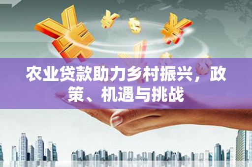 那玛夏农业贷款助力乡村振兴，政策、机遇与挑战