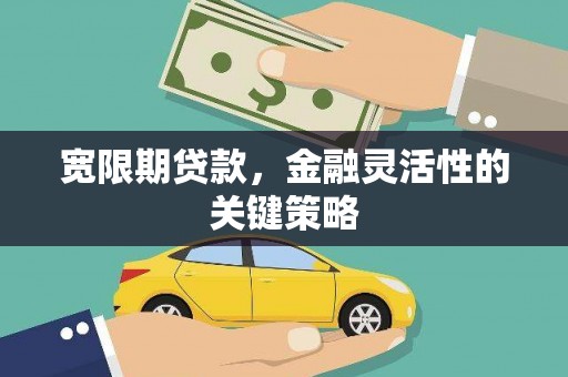 那玛夏宽限期贷款，金融灵活性的关键策略