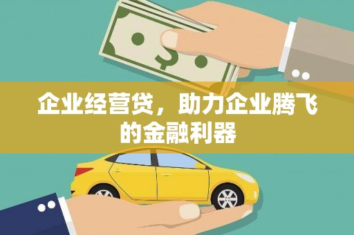 那玛夏企业经营贷，助力企业腾飞的金融利器