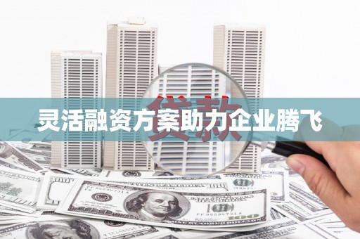 那玛夏灵活融资方案助力企业腾飞